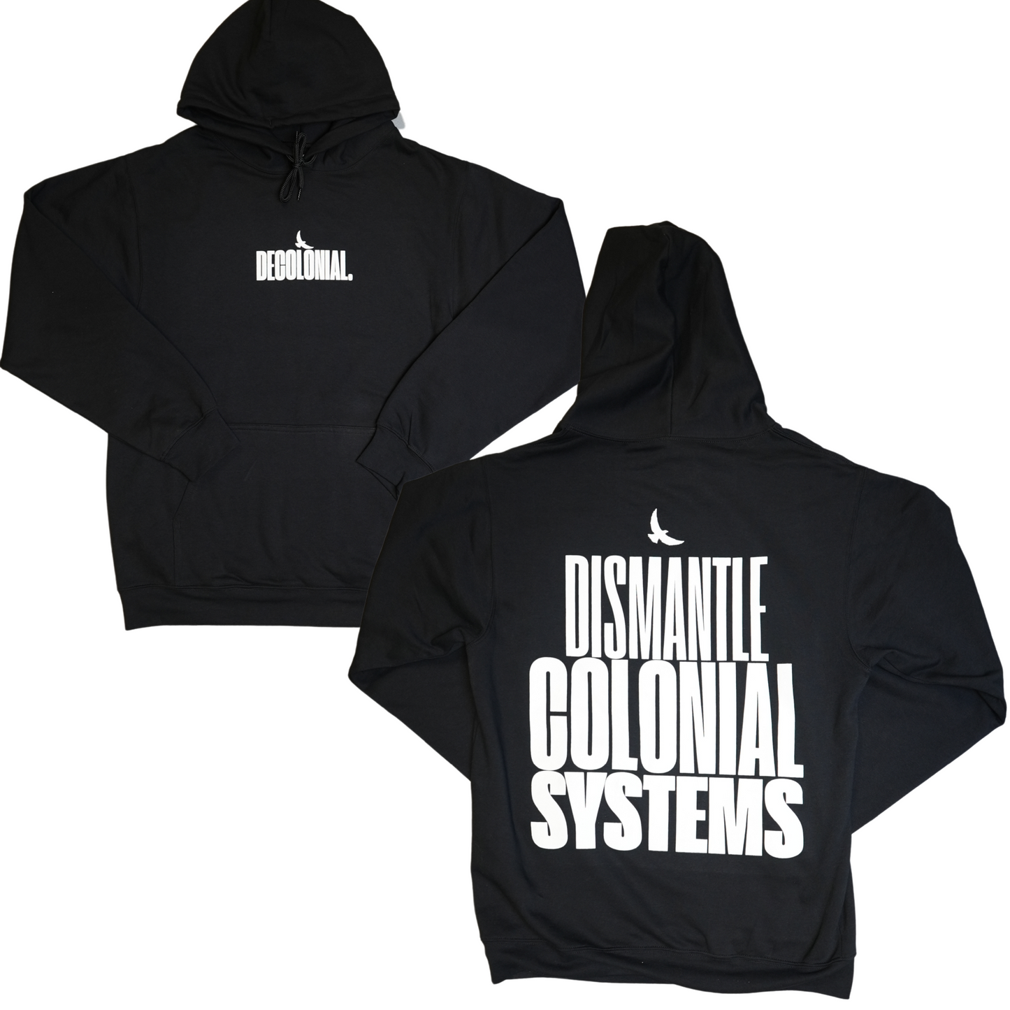 Dismantle Colonial Systems Hoodie